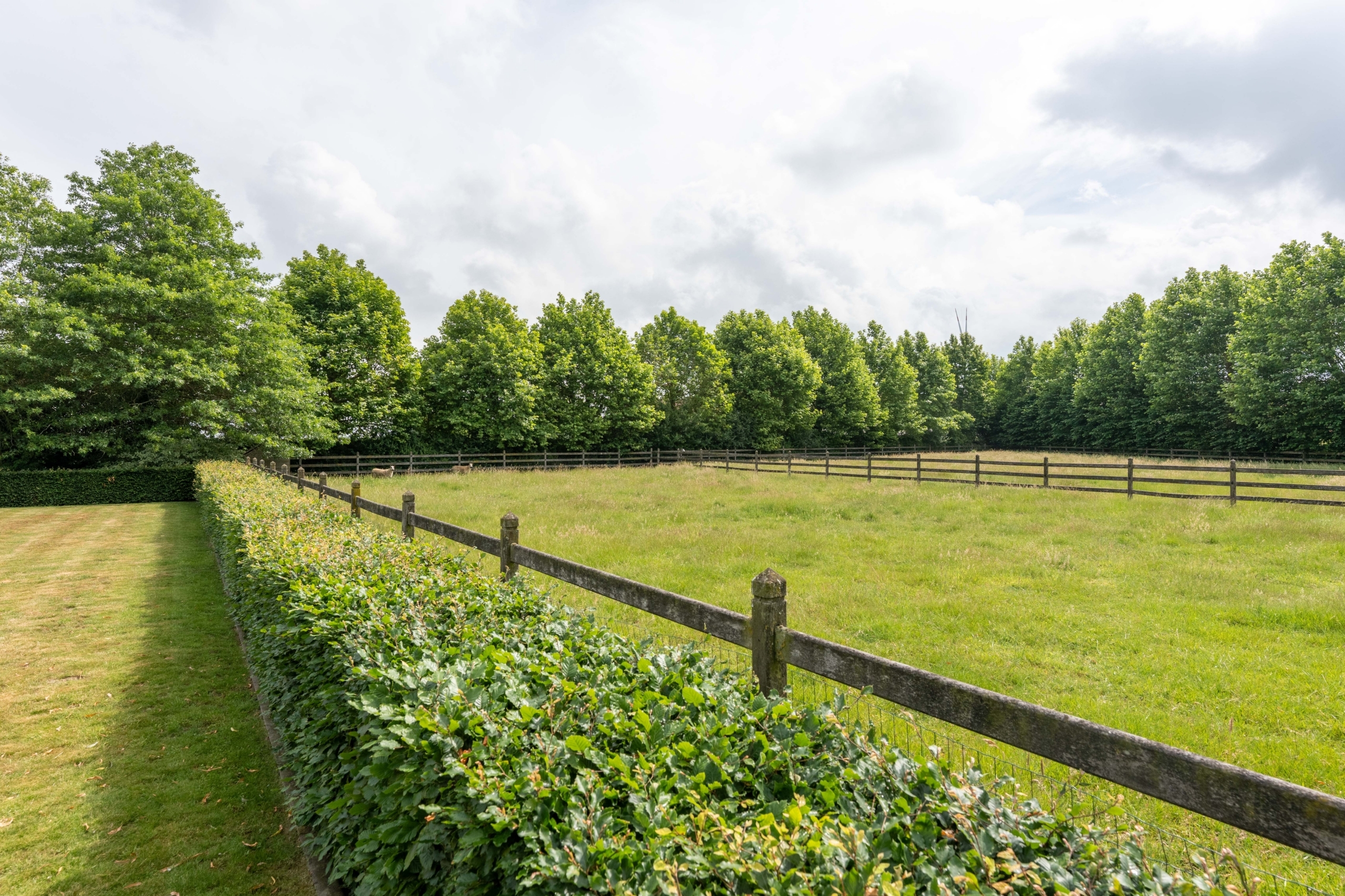 Exclusief landgoed met paardenaccomodatie te Ardooie - Hogeschuurstraat 5, 8850 Ardooie | 35