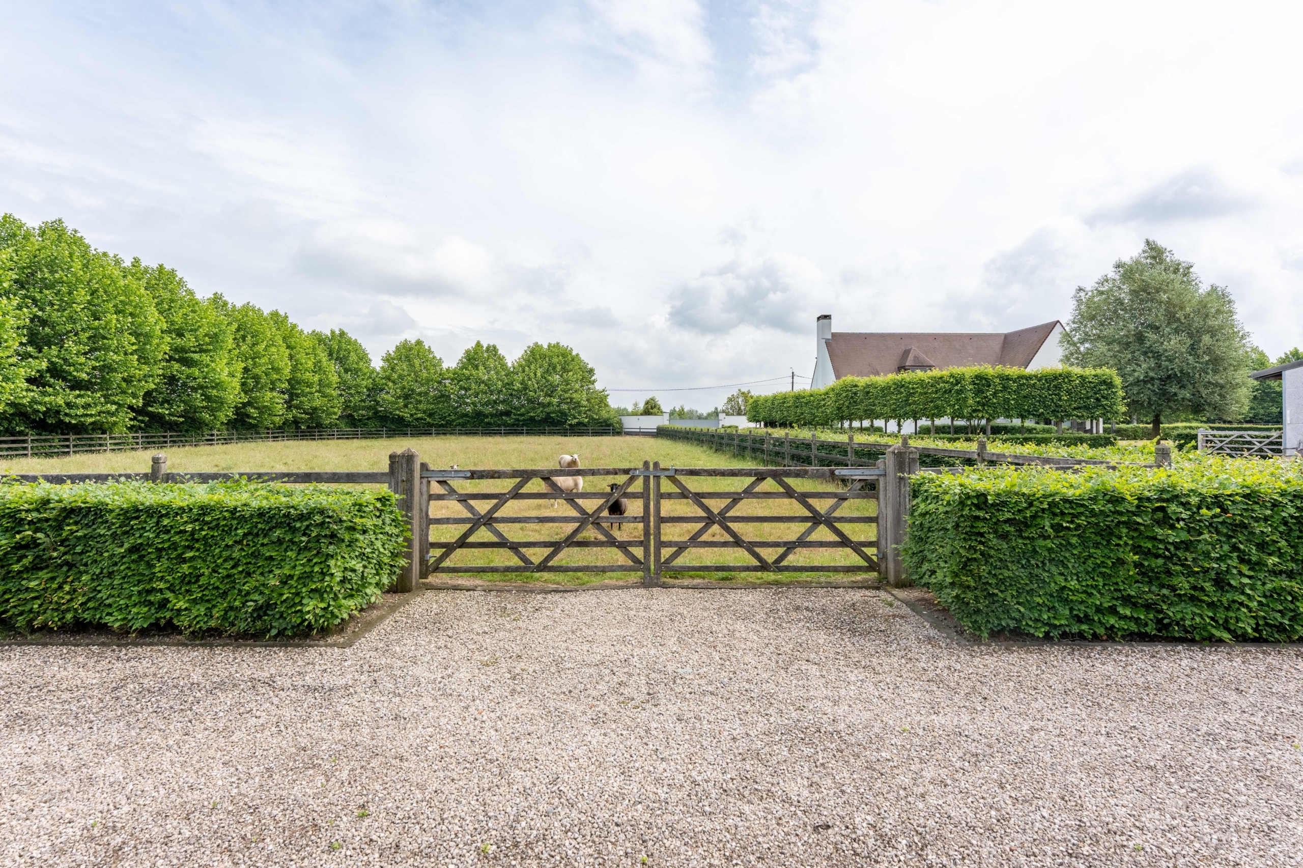 Exclusief landgoed met paardenaccomodatie te Ardooie - Hogeschuurstraat 5, 8850 Ardooie | 33